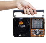 RADIO PORTATIL AM/FM LELONG LE-616