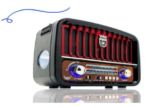 RADIO PORTATIL LTOMEX JD-108