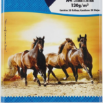 PAPEL FOTO A4 130G 20F ADES(PT/1)