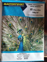 PAPEL FOTOGRAFICO ADESIVO A3 130g MASTERPRINT GLOSSY 20FLS